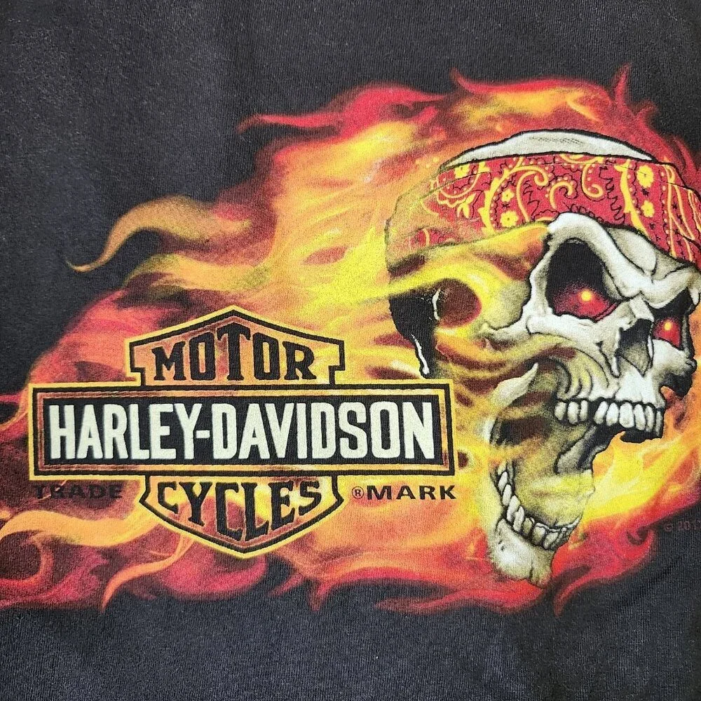 Harley‎ Davidson 2017 Flaming Skull Tee Size 2X Cincinnati, Ohio